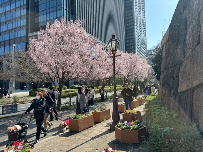 暖かくなってきましたねーーー