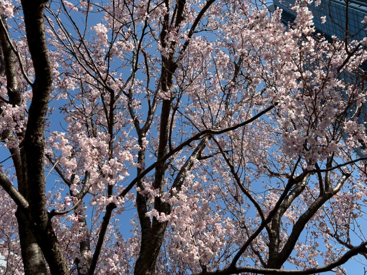 暖かくなってきましたねーーー